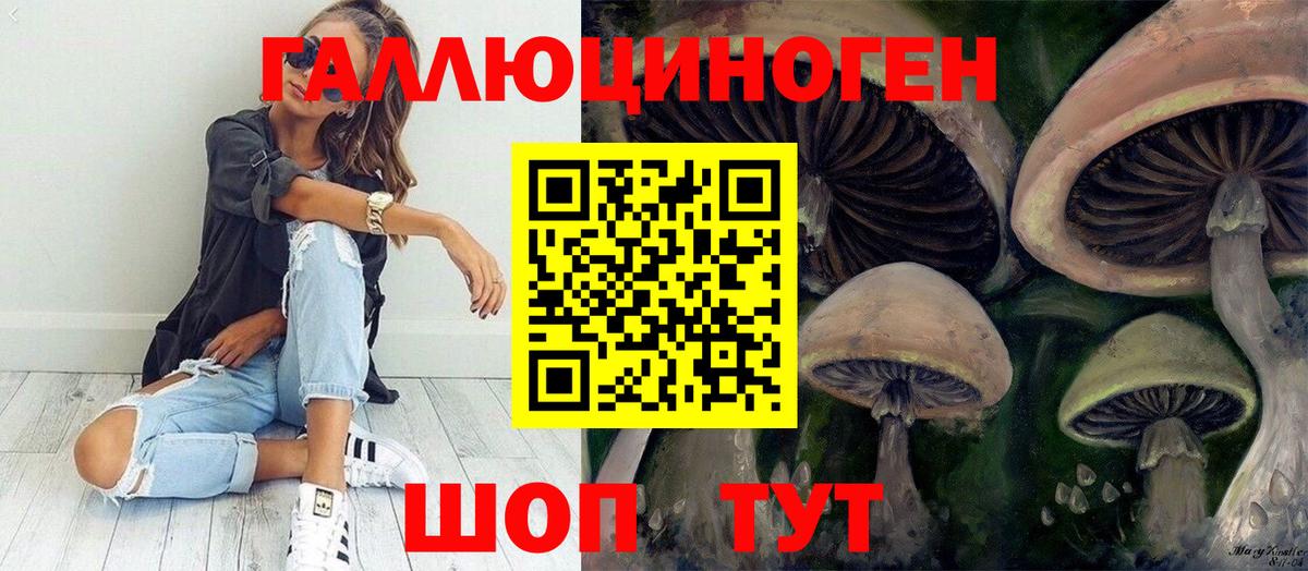Псилоцибиновые грибы Magic Shrooms Сланцы