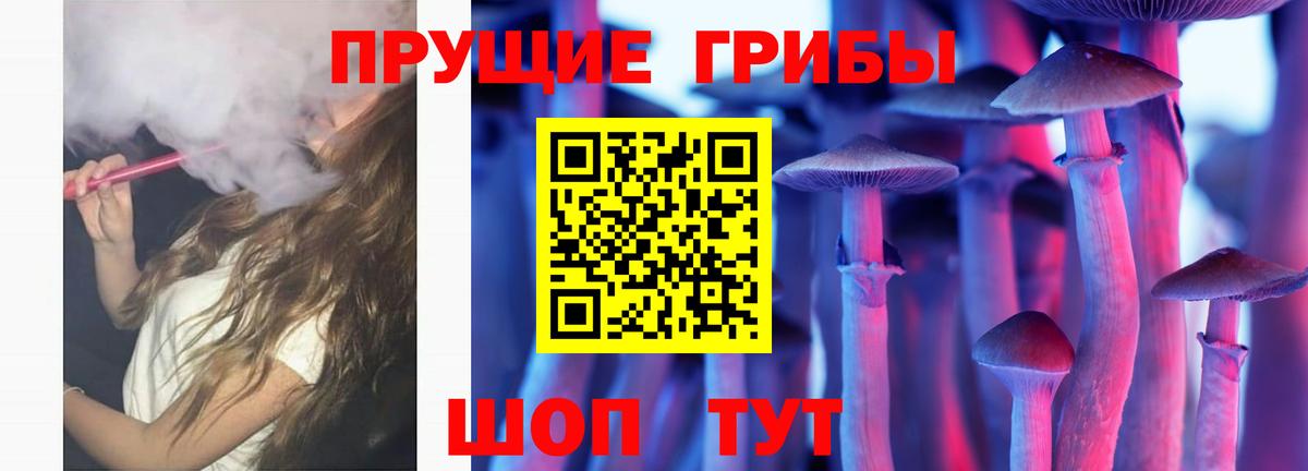 Псилоцибиновые грибы мицелий  Вход с VPN  Сланцы 